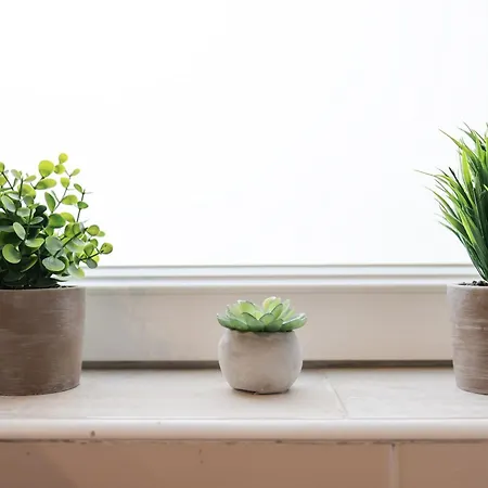 Classy In Centar زادار