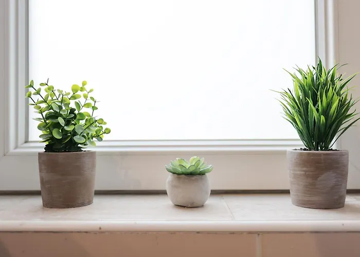 Classy In Centar Задар